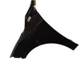 Fender