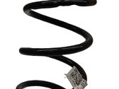 Rear coil spring