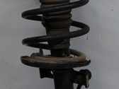 Priekinis amortizatorius