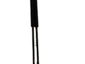 Tailgate/trunk strut/damper