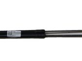 Tailgate/trunk strut/damper