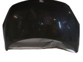 Engine bonnet/hood