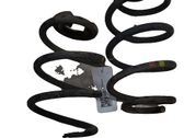 Rear coil spring