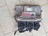 Engine control unit/module ECU