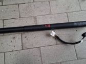 Tailgate strut