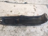 Front door trim (molding)