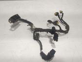 Other wiring loom