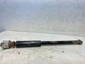 Rear shock absorber/damper