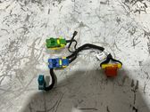 Other wiring loom
