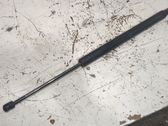 Tailgate/trunk strut/damper