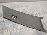 (C) pillar trim