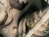Rear wheel hub