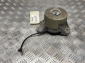 Support de moteur, coussinet