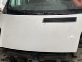 Engine bonnet/hood