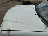 Motorhaube