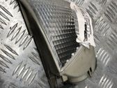 Front fender indicator light