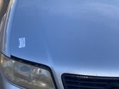 Engine bonnet/hood