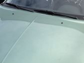 Engine bonnet/hood