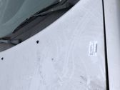 Engine bonnet/hood