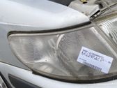 Front fender indicator light