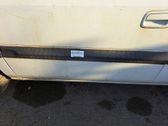 Front door trim (molding)
