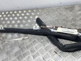 Roof airbag