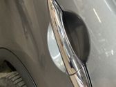 Türgriff Türöffner hinten