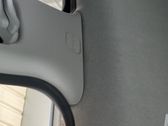 Roof airbag