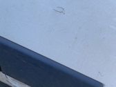 Front door trim (molding)