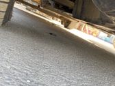 Front driveshaft