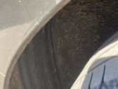 Revestimientos de la aleta guardabarros antisalpicaduras trasera