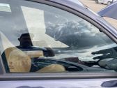 Fenster Scheibe Tür vorne (4-Türer)
