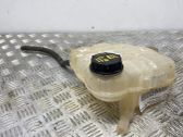 Coolant expansion tank/reservoir cap