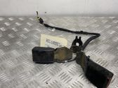 Middle seatbelt buckle (rear)
