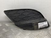 Verkleidung Nebelscheinwerfer / Gitter vorne