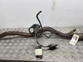 Conexión flexible del escape