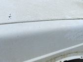 Fender