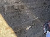 Tapis de coffre
