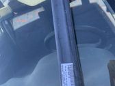Rear door trim (molding)