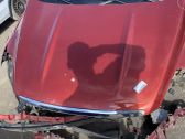 Engine bonnet/hood