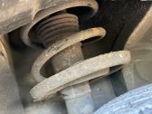 Front shock absorber with coil spring