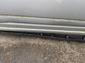 Front door trim (molding)