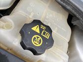 Coolant expansion tank/reservoir cap