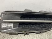 Front fog light trim/grill