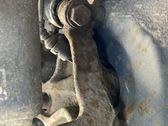 Rear wheel hub