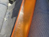 Front fender indicator light