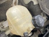 Coolant expansion tank/reservoir cap