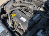 Inyector de combustible