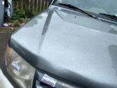 Motorhaube