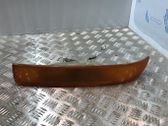 Front fender indicator light